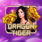 Dragon Tiger bingoplus live